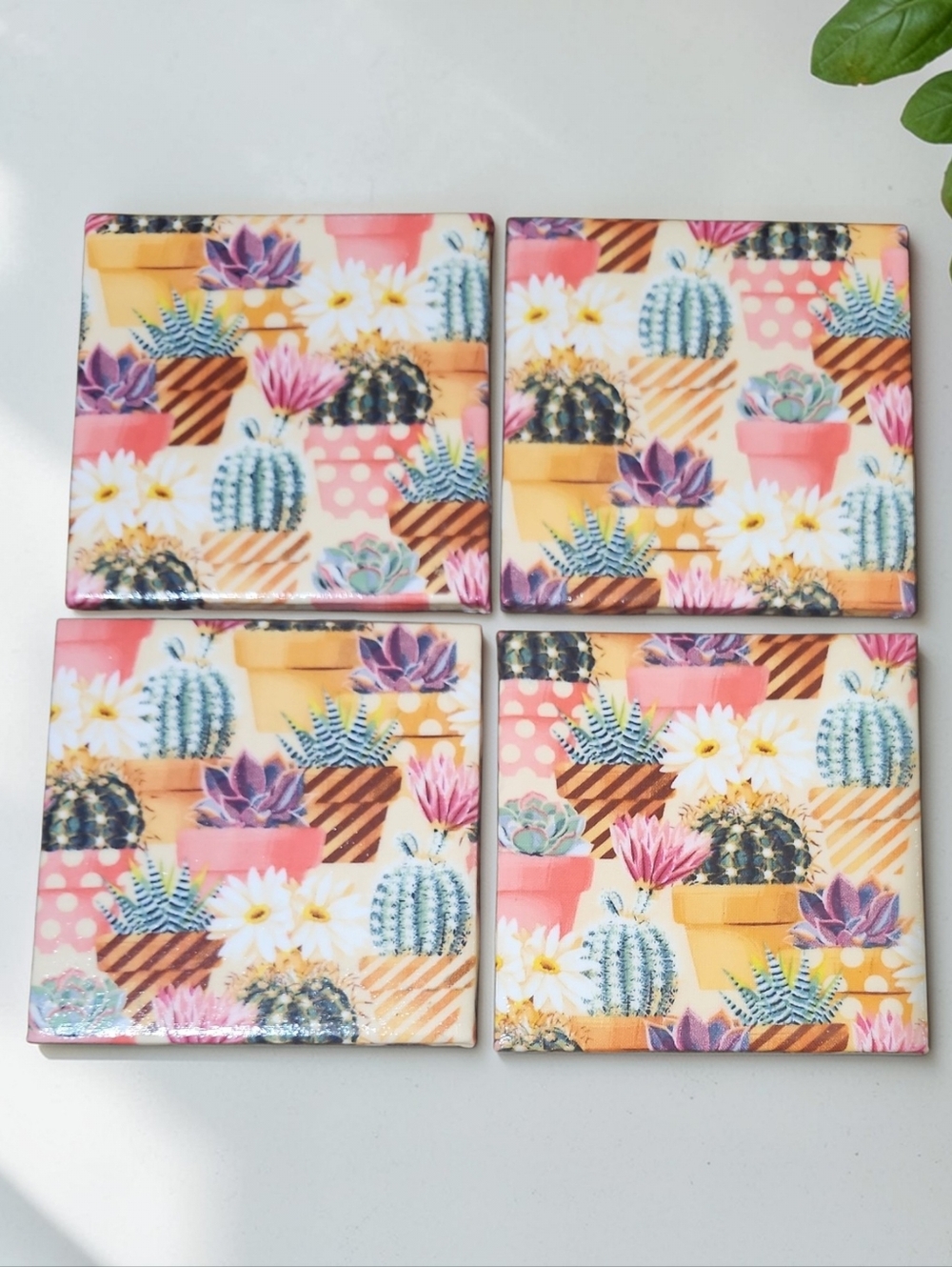 Cactus Coaster Set - Picture 2 of 2